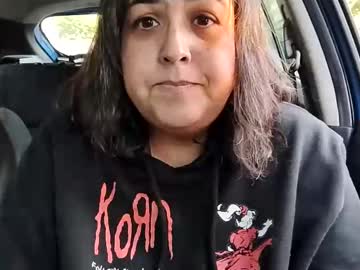 mizwindowlicker
